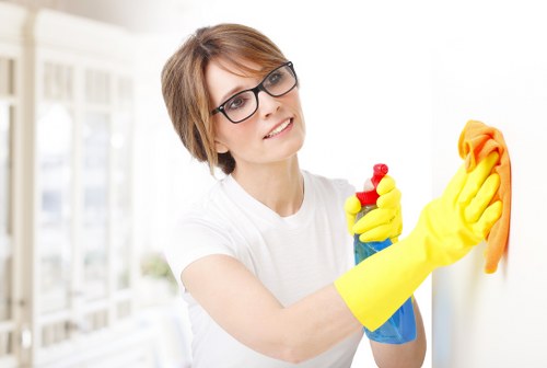 Dust removal from curtains in a Waterloo home