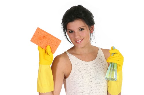 User requesting accessibility assistance for Waterloo Carpet Cleaners