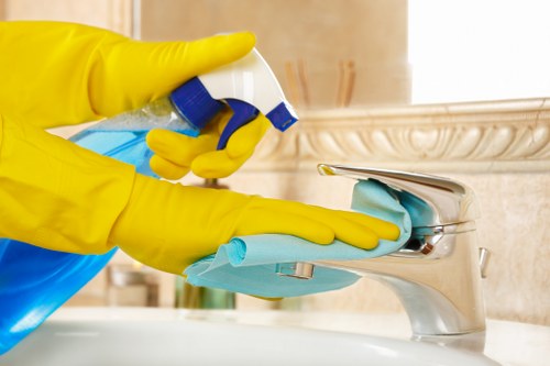 Eco-friendly carpet cleaning Waterloo process for healthier indoor spaces