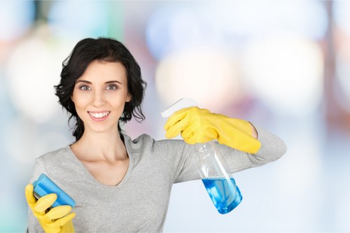 Professional cleaner preparing a carpet cleaning process in Waterloo