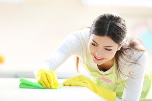 Recording and assessing a carpet cleaning complaint