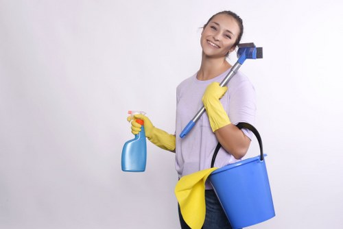 Treating pet odour and stains on upholstery in a Waterloo home