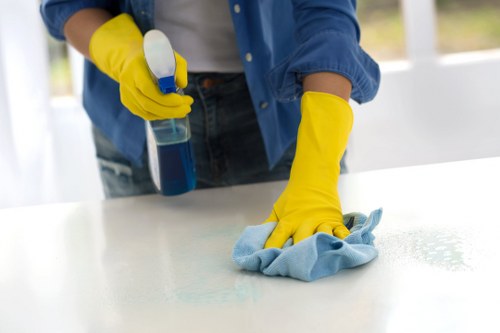 Deep cleaning a fabric sofa in Waterloo home